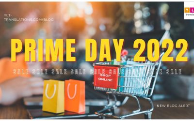 Prime Day 2022: the Lowdown and Lessons Learned